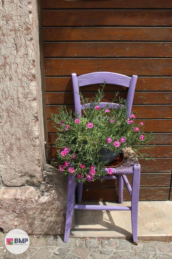 Bmp Relax Apartment Molveno